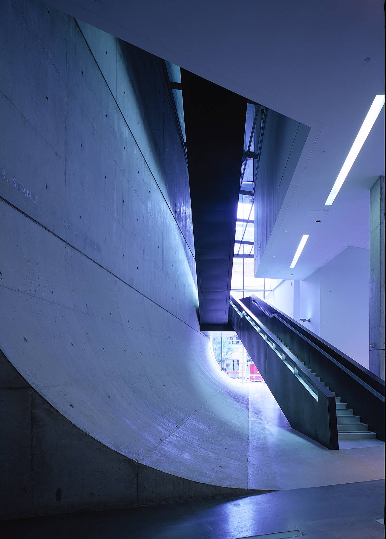 museum design