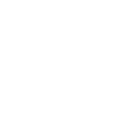logo white